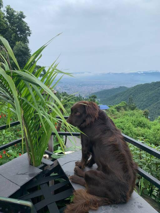 Ghost Villa Pokhara With Mountain View 20Mins From Main Area Ranipauwa Exteriör bild
